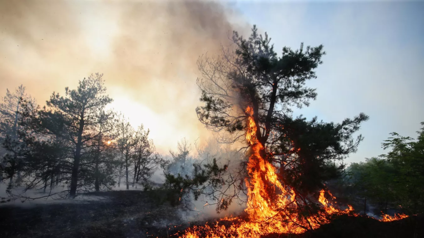 В Свердловской области привлекли к ответственности первых нарушителей противопожарного режима