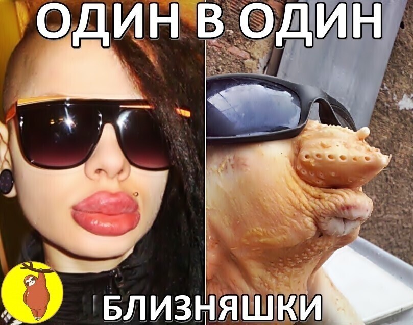 Шутки, анекдоты и забавности, способные поднять настроение 