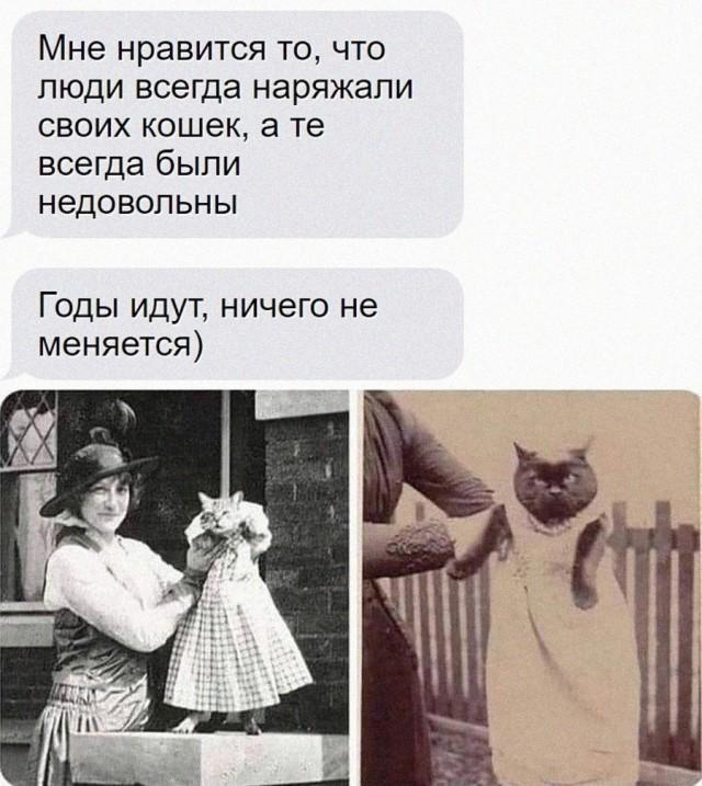 Интернет мемы в четверг и кастрюля Интернет мемы в четверг и кастрюля