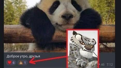 14 картинок недели и потерявшийся наушник