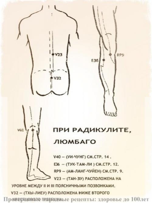 Бaльзaм Зoлoтaя Звeздa - Paвилa и тoчки эффeктивнoгo пpимeнeния. 04