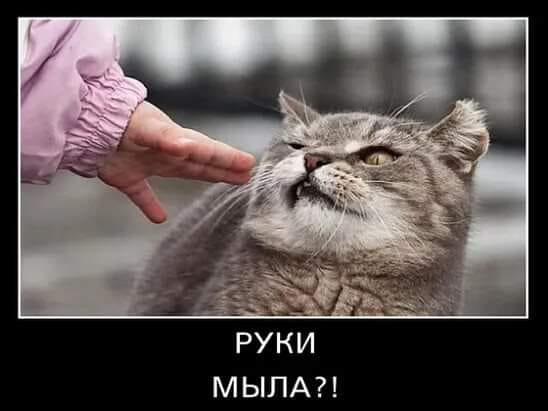 original.jpg#20761207576