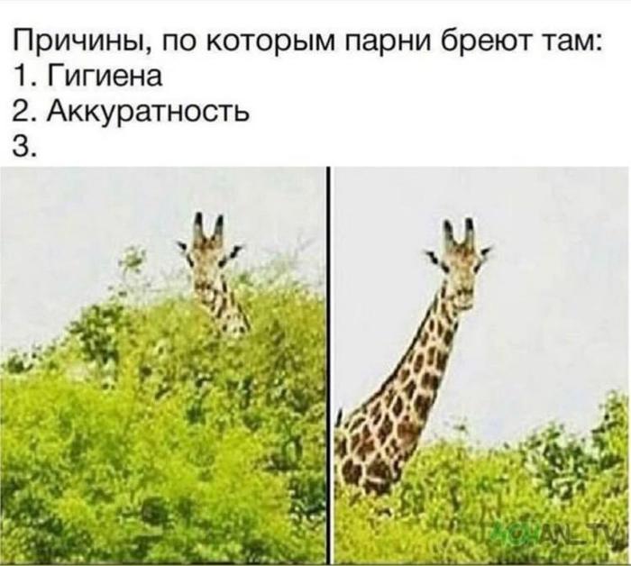 Но главное гигиена, конечно же 