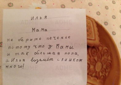 Как-то проходил мимо психиатрической больницы и видел дятла, который на территории больницы долбил бетонный столб. Очень органично смотрелся