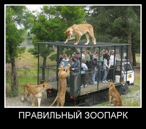 Правльный зоопарк
