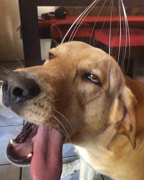 Подборка прикольных картинок  смешные картинки,юмор