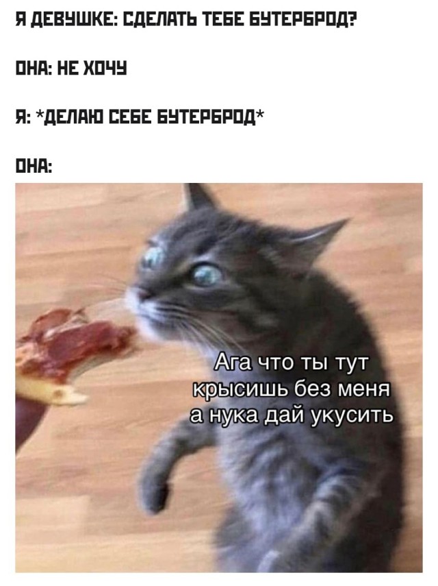 Подборка прикольных картинок Подборка прикольных картинок приколы,смешные картинки,юмор