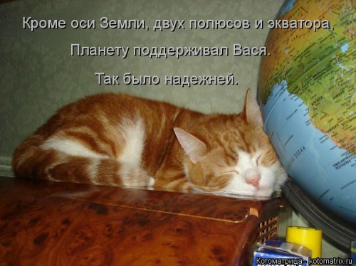 Котоматрица для всех позитив