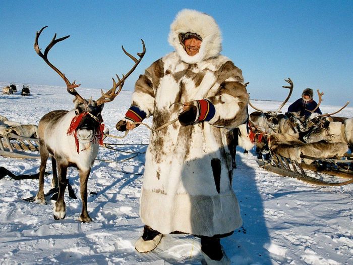 Как одеваются сегодня коренные народы Крайнего Севера