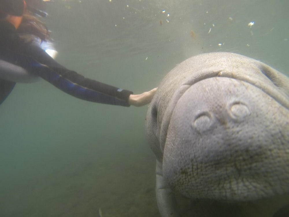 Подборка душевных фотографий Подборка душевных фотографий