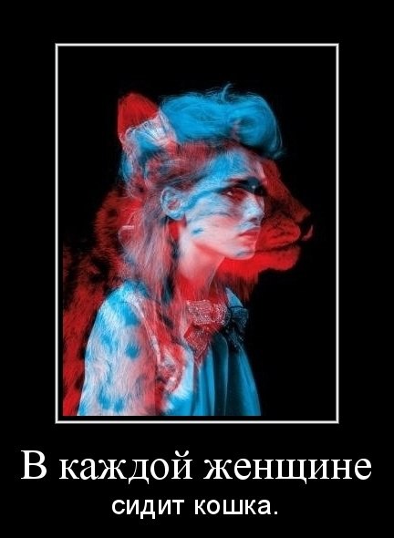 Подборка жизненных демотиваторов со смыслом