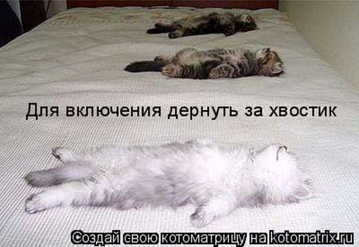 Мысли вслух :)