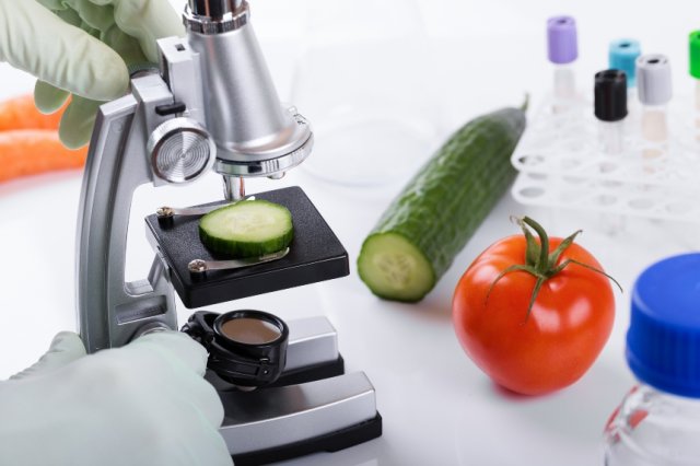 Также 1 раз в год продукция проверяется на содержание вредных веществ и тяжелых минералов (чаще не требуется, поскольку при соблюдении технологии выращивания они в плодах отсутствуют) лабораторный анализ томатов и огурцов на содержание нитратов