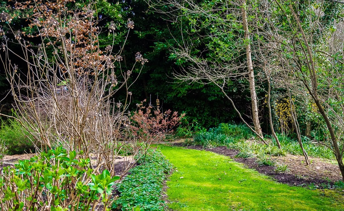 Очередные 10 000 шагов к здоровью Очередные 10 000 шагов к здоровью коронавирус,медицина,общество,яостаюсьдома