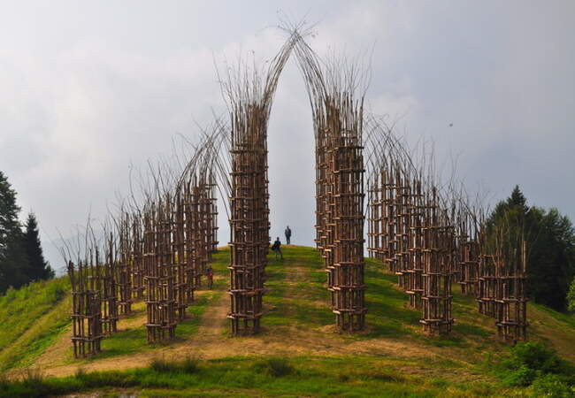 Арбоархитектура: как вырастить дом из саженца? Арбоархитектура: как вырастить дом из саженца? деревья,дома,природа,экология