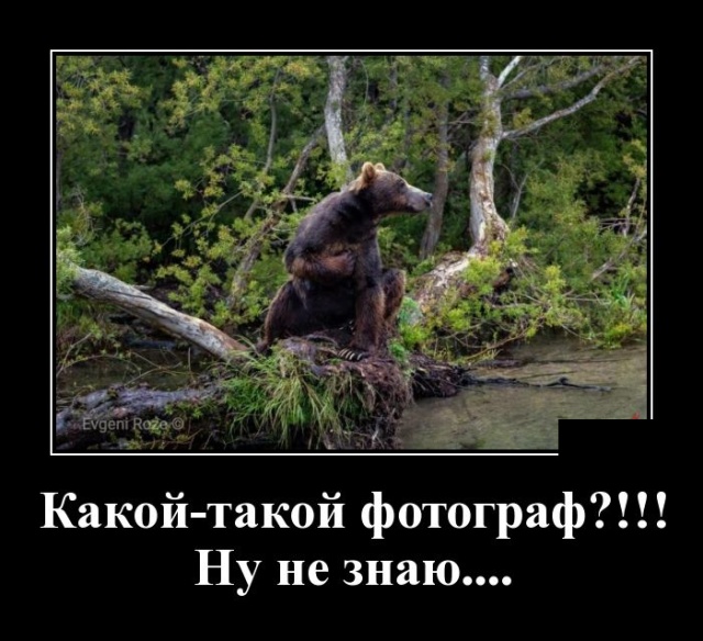 Новые демотиваторы демотиваторы