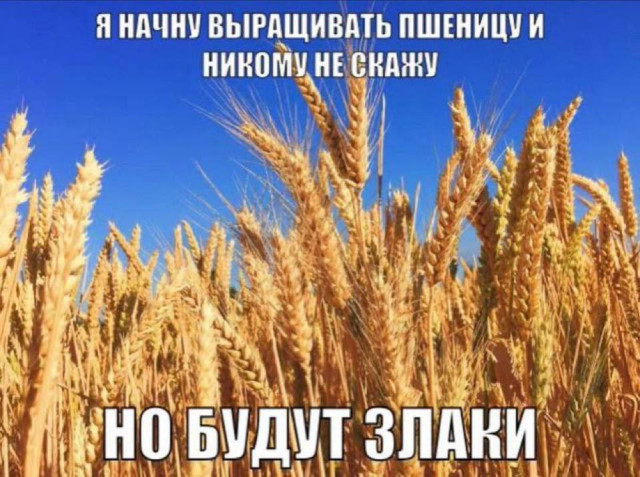 Середина недели — приколы подоспели: «Что нравится в постели?» 