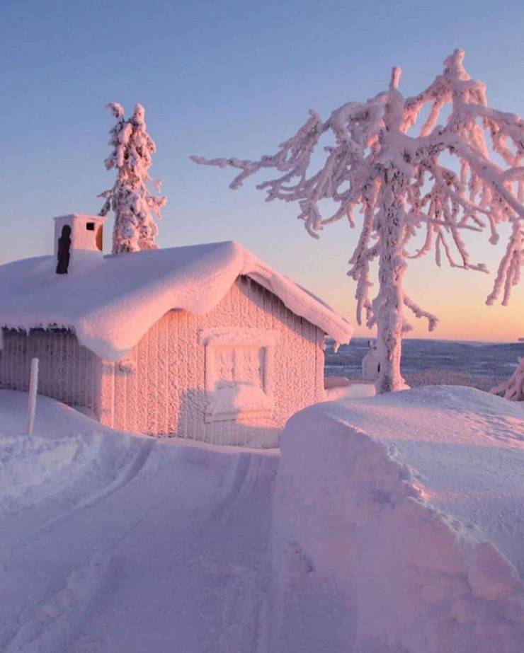 Подборка смешных картинок  приколы,смешные картинки,юмор