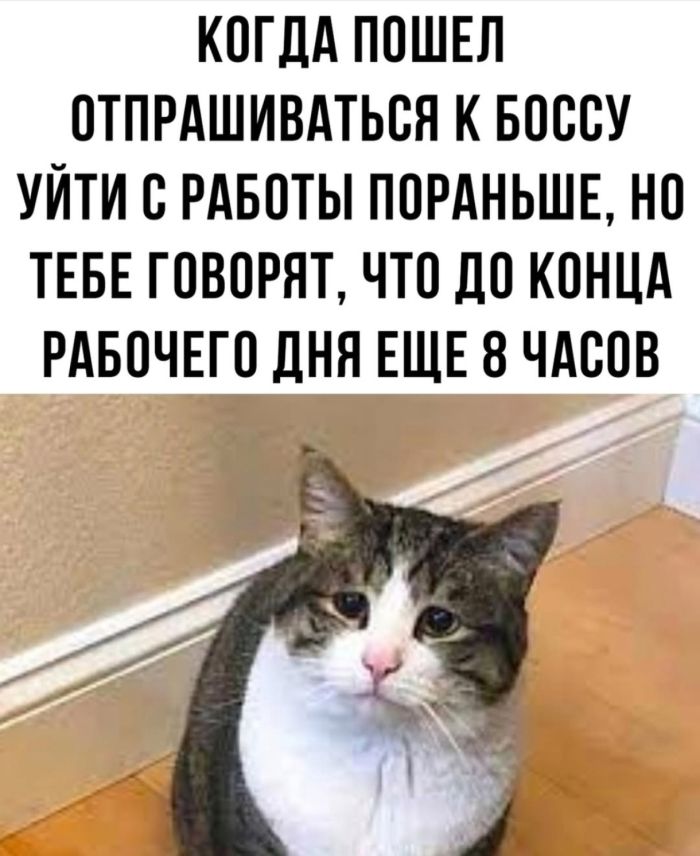 Интернет мемы в четверг и кастрюля Интернет мемы в четверг и кастрюля
