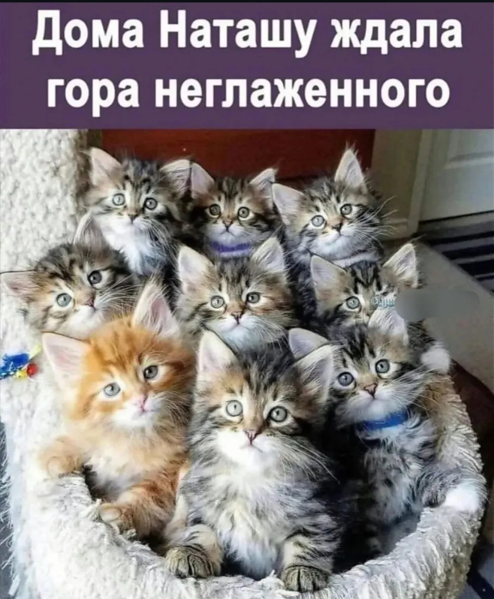 Интернет мемы в четверг и кастрюля Интернет мемы в четверг и кастрюля