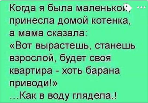 Идет Красная Шапка по лесу с пирожками, присела отдохнуть, останавливается машина, выходит волк... весёлые