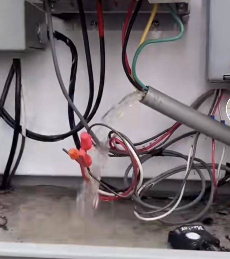 Смешные картинки 13 января 2022 года