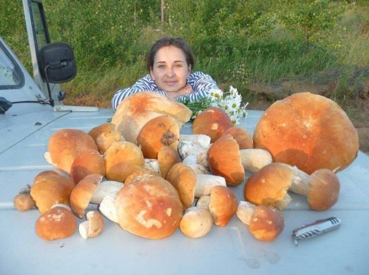 Подборка прикольных картинок Подборка прикольных картинок приколы,смешные картинки,юмор