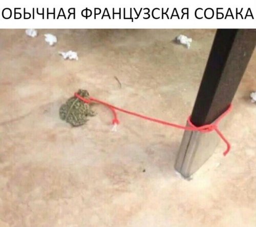 Смешные анекдоты 