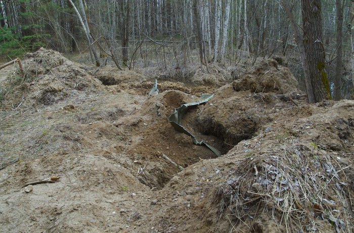 В какой то момент выехали на поляну сплошь изрытую воронками с остатками непонятных деталей. грибы, лес, оружие, полигон