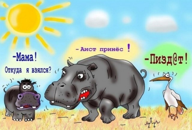 Животный юмор в картинках Животный юмор в картинках