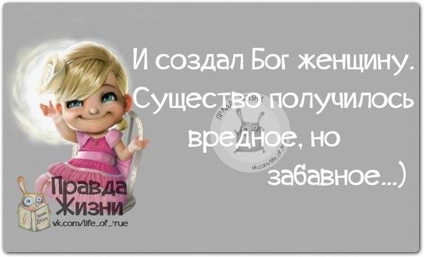 Прикольные картинки с фразками 