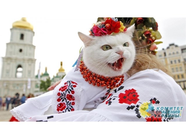 Зачем Украине перехват знамен «Русского мира»?