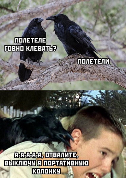 Животный юмор в картинках Животный юмор в картинках