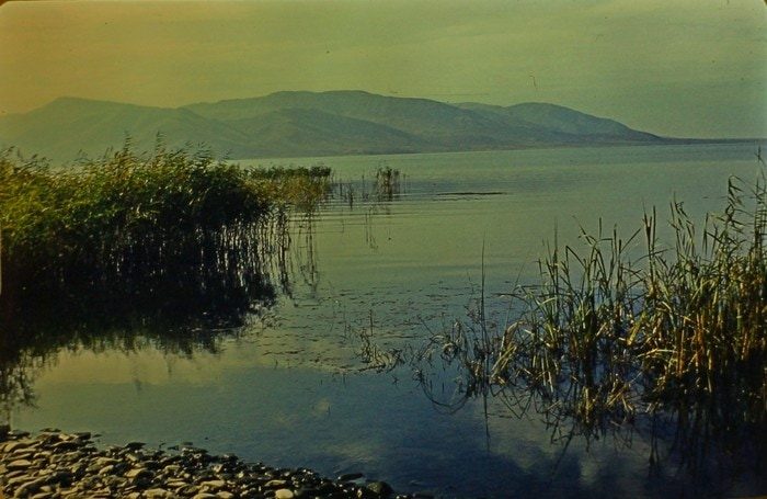 Архив слайдов советского геолога, купленный на барахолке 