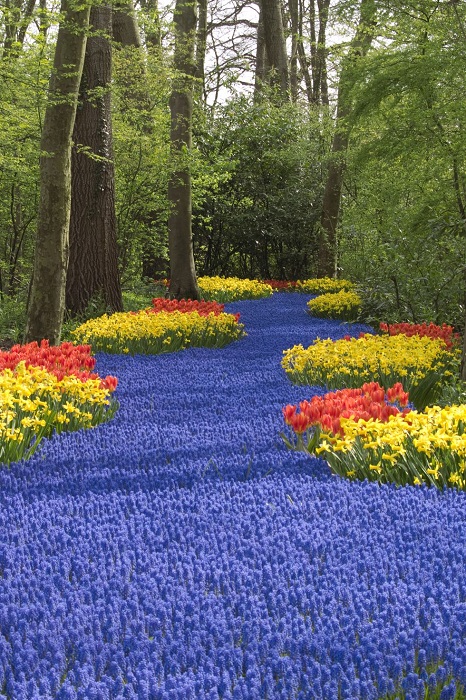 Королевский парк цветов – сад Европы.