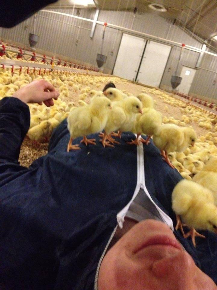 Подборка смешных картинок. Вечерний выпуск Подборка смешных картинок. Вечерний выпуск