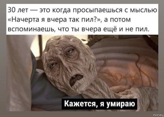 25 приколов января позитив,смешные картинки,юмор