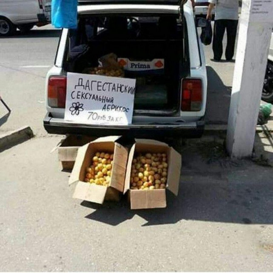 Кавказский юмор картинки