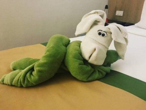 Приколы и странности в отелях 