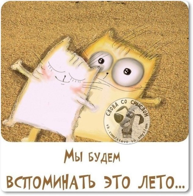 Прикольные фразочки в картинках: Последнему дню лета посвящается 