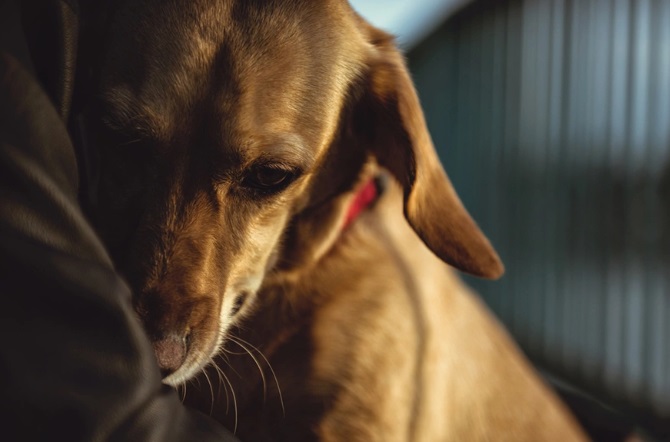 Злость допустима для защиты тех, кто не может постоять за себя сам, от агрессоров. / Фото: rg.ru
