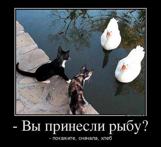 Математик говорит своей возлюбленной..