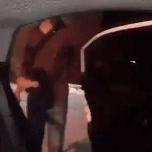 Интересные гифки 28 января 2022 года