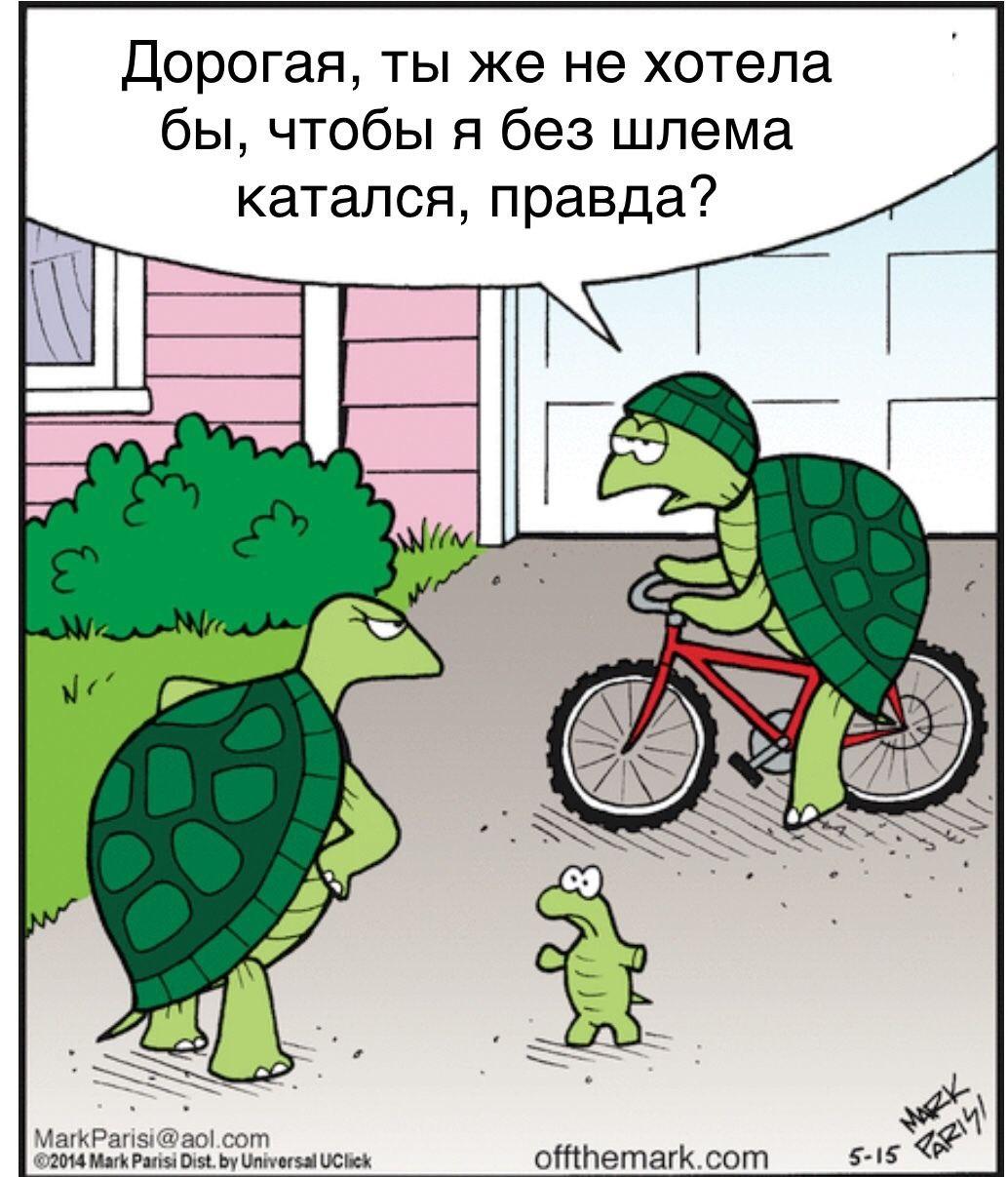 14 картинок недели и потерявшийся наушник 14 картинок недели и потерявшийся наушник format-article,noindex,Развлечения