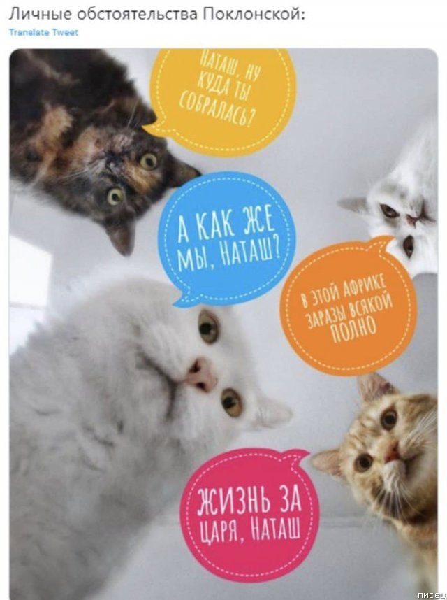 25 приколов января позитив,смешные картинки,юмор