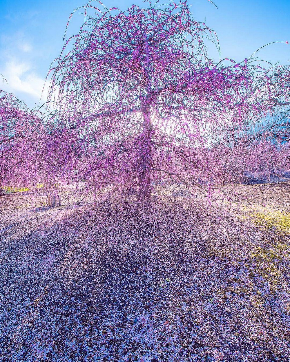 Подборка душевных фотографий Подборка душевных фотографий
