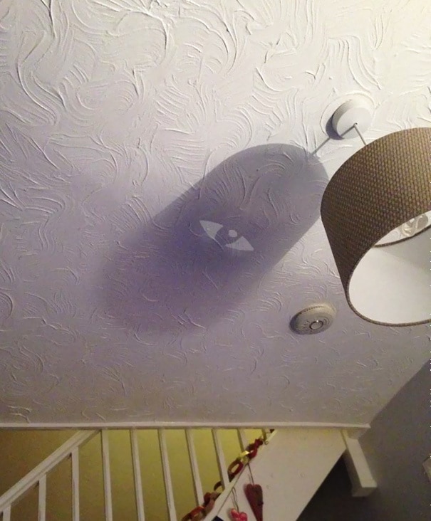 Interesting Shadow Created From My Light Shade