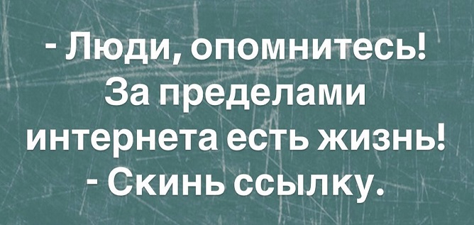 В психушке подключили интернет и через неделю в соцсетях появилось ещё несколько топовых блогеров 