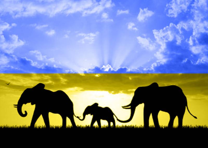 Падёж украинских «слонов» геополитика,россия,украина
