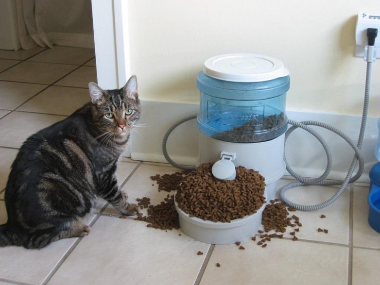 15 снимков, чья невезучая аура чувствуется даже через монитор 15 снимков, чья невезучая аура чувствуется даже через монитор